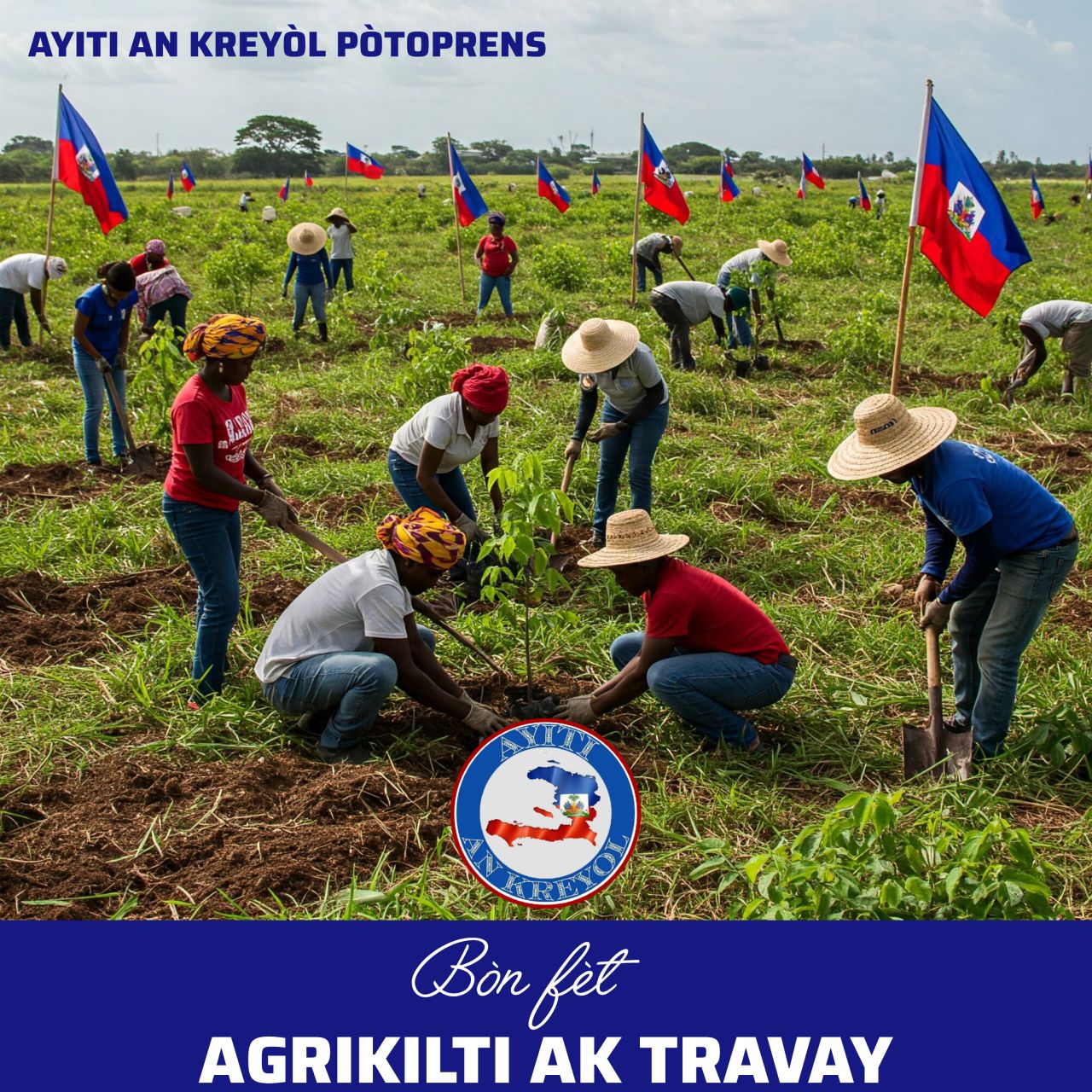 Agrikilti dirab: solisyon pou sekirite alimantè an Ayiti